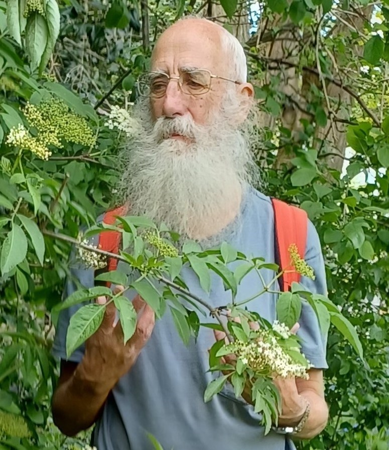 Online Talk: 50 Years of Plant-Lore Collecting