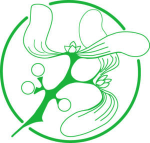 FLS Mistletoe logo in green on white background