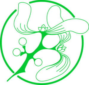 Image - Invitation to apply for membership of The Folklore Society Council 2025